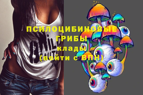 mdpv Богородицк