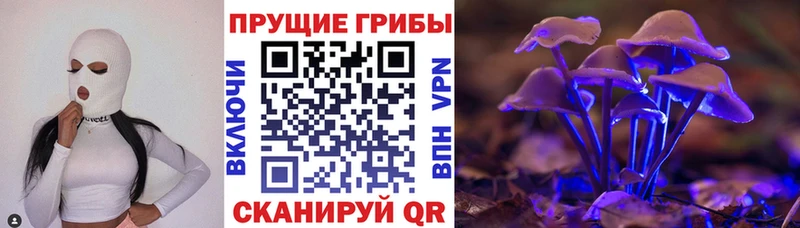 Галлюциногенные грибы прущие грибы  где купить   Волгореченск 